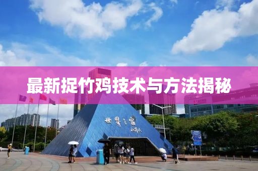 最新捉竹鸡技术与方法揭秘