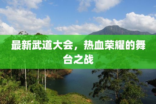 最新武道大会，热血荣耀的舞台之战