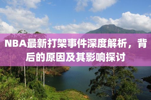 NBA最新打架事件深度解析，背后的原因及其影响探讨