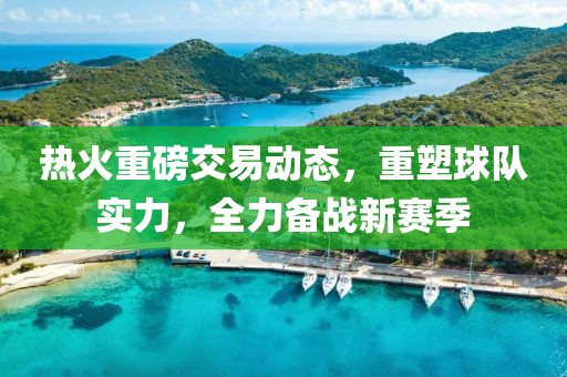 热火重磅交易动态，重塑球队实力，全力备战新赛季