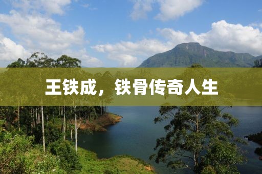 王铁成，铁骨传奇人生