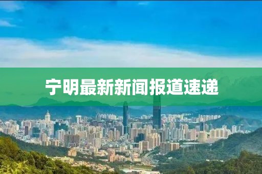 宁明最新新闻报道速递