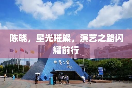 陈晓，星光璀璨，演艺之路闪耀前行