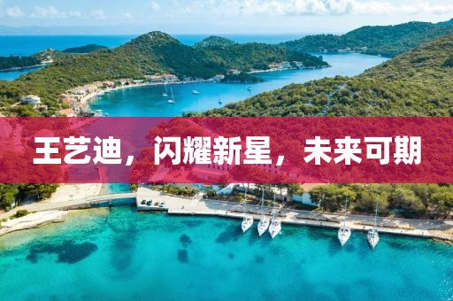 王艺迪，闪耀新星，未来可期