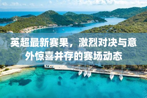 英超最新赛果，激烈对决与意外惊喜并存的赛场动态