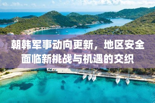 朝韩军事动向更新，地区安全面临新挑战与机遇的交织