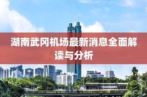 湖南武冈机场最新消息全面解读与分析