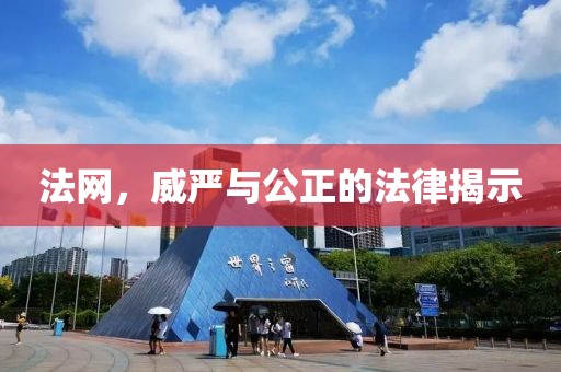 法网，威严与公正的法律揭示