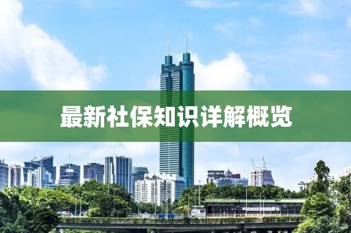 最新社保知识详解概览