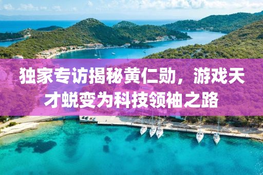 独家专访揭秘黄仁勋，游戏天才蜕变为科技领袖之路