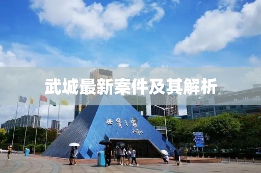 武城最新案件及其解析