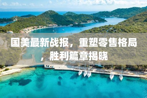 国美最新战报，重塑零售格局，胜利篇章揭晓