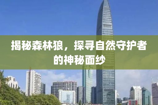 揭秘森林狼，探寻自然守护者的神秘面纱