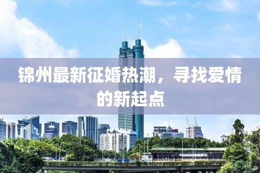 锦州最新征婚热潮，寻找爱情的新起点