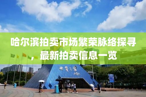 哈尔滨拍卖市场繁荣脉络探寻，最新拍卖信息一览