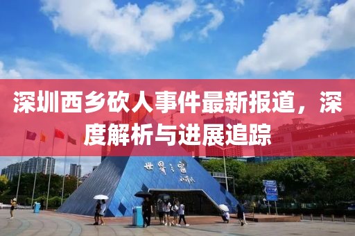 深圳西乡砍人事件最新报道，深度解析与进展追踪