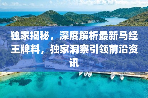 独家揭秘，深度解析最新马经王牌料，独家洞察引领前沿资讯