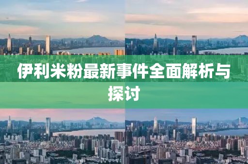 伊利米粉最新事件全面解析与探讨