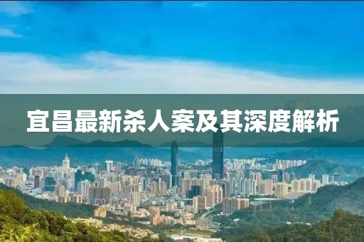 宜昌最新杀人案及其深度解析