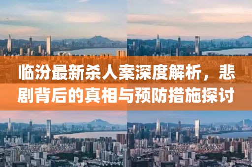 临汾最新杀人案深度解析，悲剧背后的真相与预防措施探讨