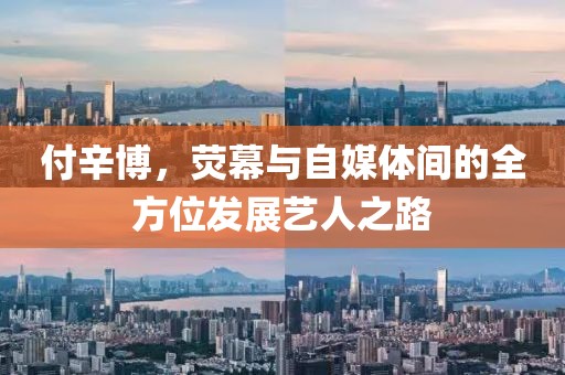 付辛博，荧幕与自媒体间的全方位发展艺人之路