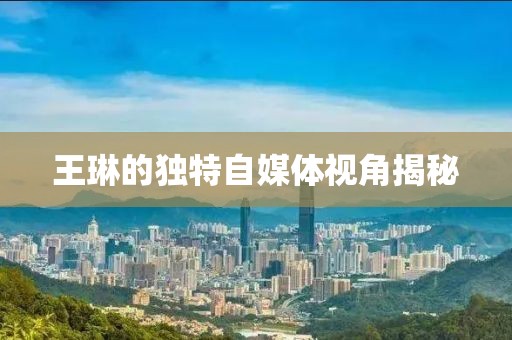 王琳的独特自媒体视角揭秘