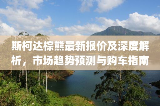 斯柯达棕熊最新报价及深度解析，市场趋势预测与购车指南