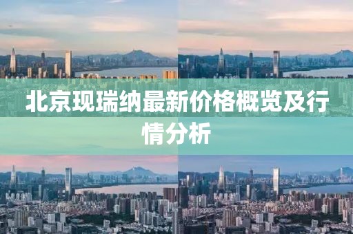 北京现瑞纳最新价格概览及行情分析