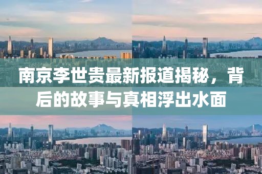 南京李世贵最新报道揭秘，背后的故事与真相浮出水面
