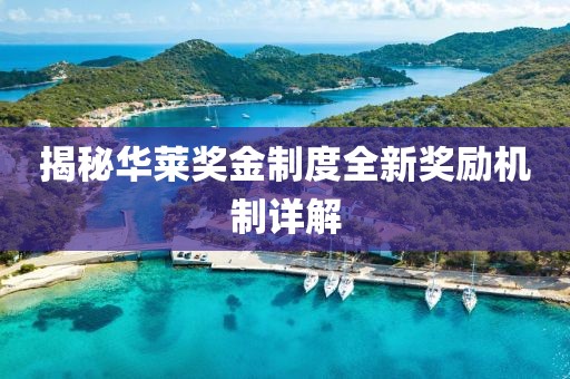 揭秘华莱奖金制度全新奖励机制详解