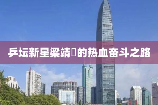 乒坛新星梁靖崑的热血奋斗之路