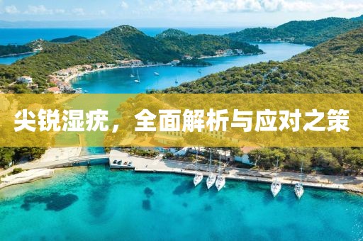 尖锐湿疣，全面解析与应对之策
