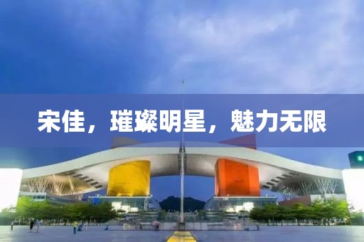 宋佳，璀璨明星，魅力无限