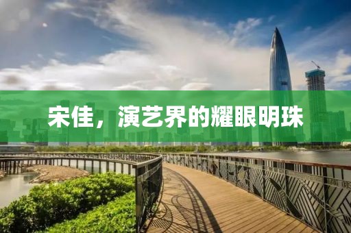 宋佳，演艺界的耀眼明珠