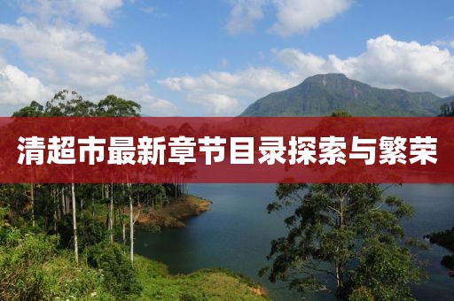 清超市最新章节目录探索与繁荣