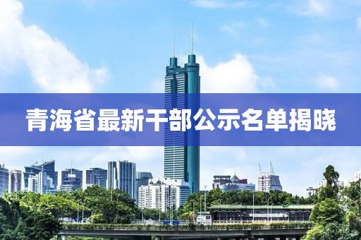青海省最新干部公示名单揭晓