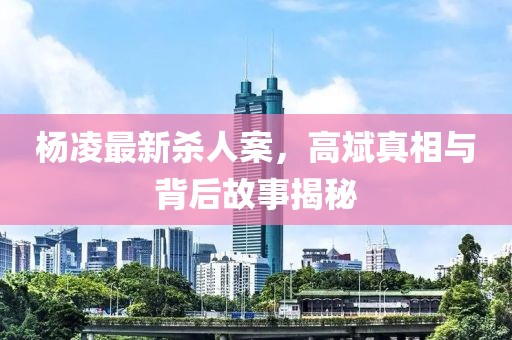 杨凌最新杀人案，高斌真相与背后故事揭秘