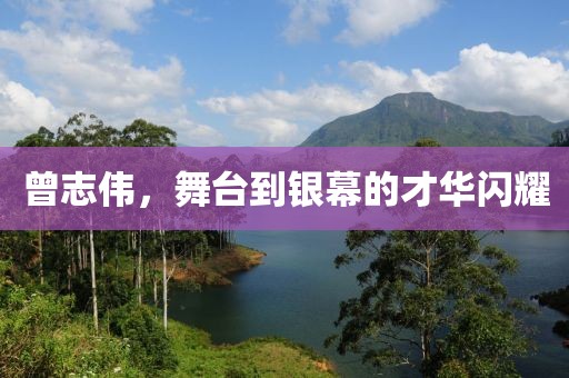 曾志伟，舞台到银幕的才华闪耀