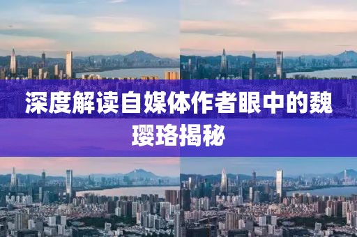 深度解读自媒体作者眼中的魏璎珞揭秘
