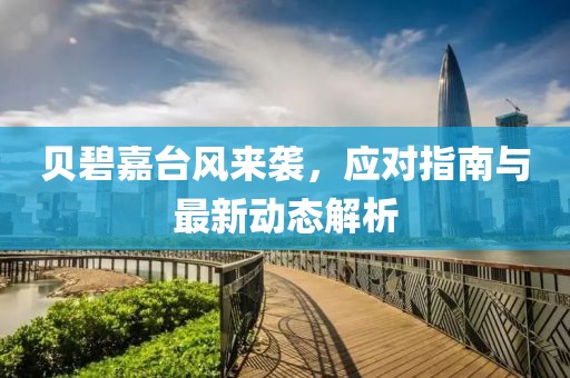 贝碧嘉台风来袭，应对指南与最新动态解析