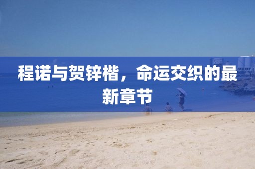 程诺与贺锌楷，命运交织的最新章节