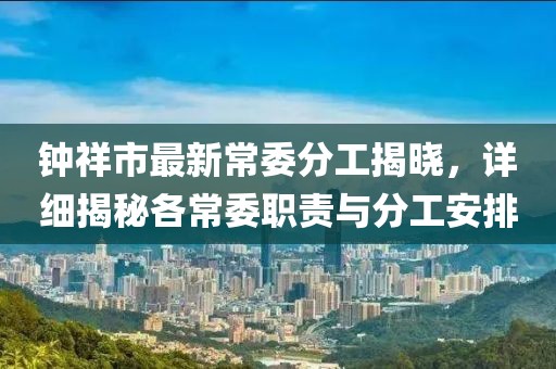 钟祥市最新常委分工揭晓，详细揭秘各常委职责与分工安排