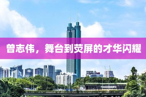 曾志伟