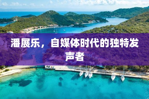 潘展乐，自媒体时代的独特发声者