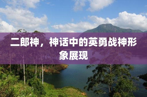 张国荣 第49页