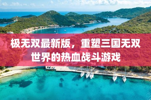 极无双最新版，重塑三国无双世界的热血战斗游戏