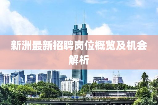新洲最新招聘岗位概览及机会解析
