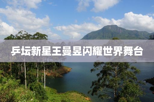 乒坛新星王曼昱闪耀世界舞台