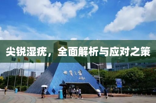 尖锐湿疣，全面解析与应对之策