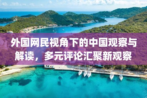 外国网民视角下的中国观察与解读，多元评论汇聚新观察